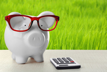 Poster - Piggy bank with glasses and calculator on green grass background