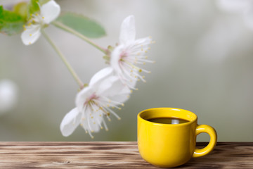 Coffee in a cup on wooden table opposite a defocused natural bac