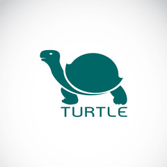 Wall Mural - Vector image of an turtle design on white background