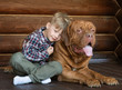 © Ermolaev Alexandr - Little boy embracing big Bordeaux dog