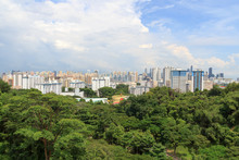 Panorama View With Singapore Skyline Seen From Mount Faber Rainforest
