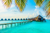 Fototapeta Na drzwi - Maldives island