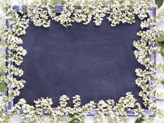 Wall Mural - White flowers on a chalkboard with copy space.