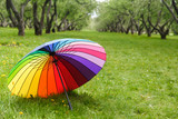 Fototapeta Tęcza - Umbrella rainbow colors, lying on the grass in the park