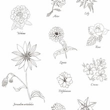 Cute Floral Seamless Pattern. Hand Drawn Black And White Flowers. Botanical Vector Illustration.