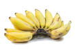 © sakdinon - Cultivate banana on isolate white background
