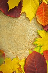 Wall Mural - Autumn leaves on the wooden background