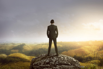 Business man standing on the top of the mountain looking at the valley