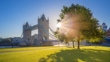 London, UK - Iconic Tower Bridge at sunrise in the morning with sunlight, tree, blue sky and green grass