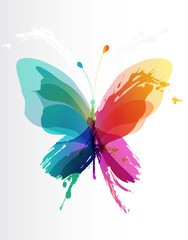 Wall Mural - colorful butterfly created from splash and colored objects.