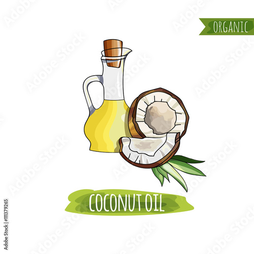 Coconut oil painted in watercolor style. Sketch. Organics. It can be