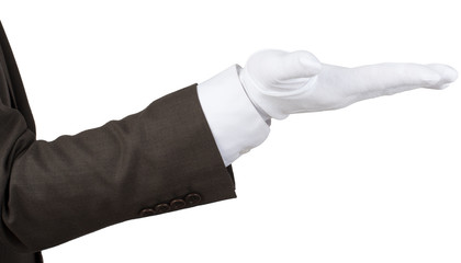 Elegant human hand presenting your text or product