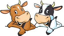 All Cows Recommend With Thumb Up - Cow Vector Illustration Peeking