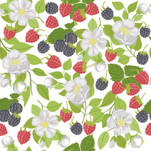 Seamless Pattern With Berries Raspberries, Blackberries, And White Flowers.