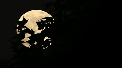 Wall Mural - Tree Full Moon Close Up