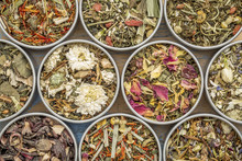 Herbal Blend Tea Collection