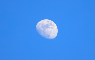 Wall Mural - Moon closeup on light blue sky