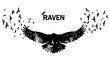 Flying raven double exposure.