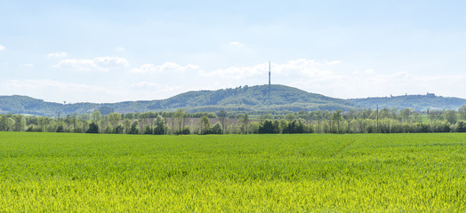 Poster - rural springtime scenery