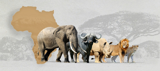 Wall Mural - big five game