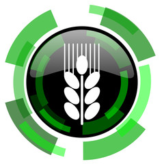 Fototapete - grain icon, green modern design isolated button, web and mobile app design illustration