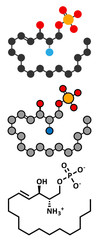 Wall Mural - Sphingosine-1-phosphate (S1P) signaling molecule.