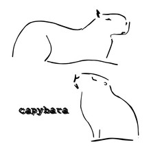 The Capybara (character Set)