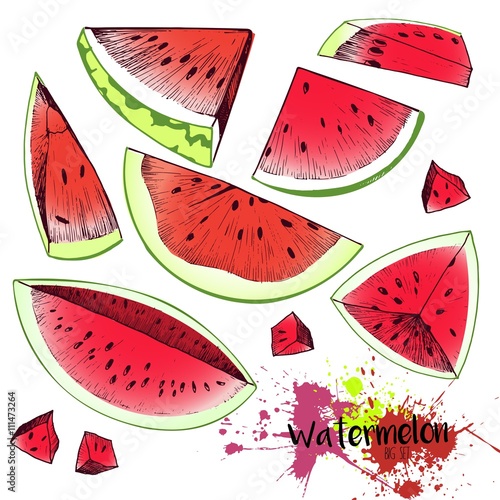 Download Vector set of color watermelon pieces. Juicy fresh organic fruit illustration. Couple of ...