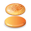 Empty hamburger bun with sesame seeds on white background. Isolated cheesburger roll. Incomplete, blank.