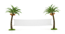 Empty White Banner Stretched Between Two Palm Trees. Concept  Tr