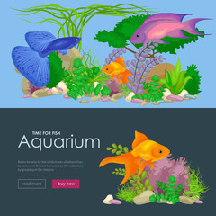 Poster - Aquarium fish, seaweed underwater, banner template layout with marine animal