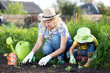 Gardening, planting - mother with daughter child plant strawberry seedlings into garden bed