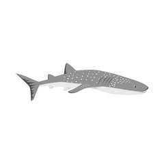 Wall Mural - Marine Predator Shark Design Flat