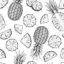 Vector Hand Drawn Pineapple Seamless Pattern.