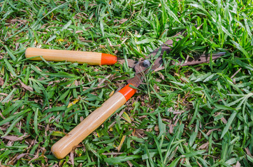 Grass Shears on green grass