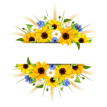 Vector Background Of Sunflowers, Daisies, Cornflowers, Ears Of Wheat And Leaves Isolated On A White Background.