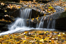 A Small Waterfall Surrounded By Bright Fall Colors.