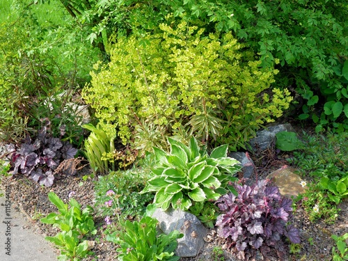 Grunpflanzen Wachsen Im Garten Mit Steindekoration Buy This