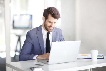 Wall Mural - Businessman with laptop