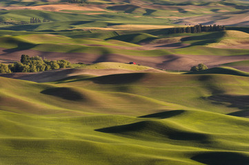  Washington Palouse. A spectacular sunset view from Steptoe Butte State Park of the surrounding farmland and small towns. From the top of the butte, the eye can see 200 miles.