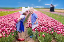 Dutch Children In Tulip Field