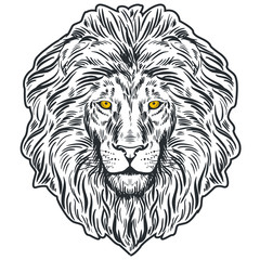 Wall Mural - Hand drawn lion head isolated. Banner, poster, card, t-shirt design template. Vector illustration 