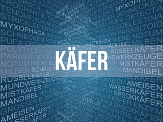 Poster - Käfer