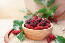 Fresh Organic Mulberry In Bowl On Wooden Background With Mulberry Fruit And Mulberry Branch. 
