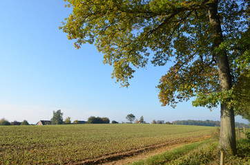 Wall Mural - Woman and girl walking on trail through rural landscape with meadows and fields on rolling hills in Wallonia on sunny autumn day, Durnal, Yvoir