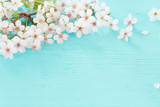 Flowers of cherry on a wooden background