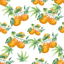 Tangerines Pattern. Figure Tangerine Watercolor