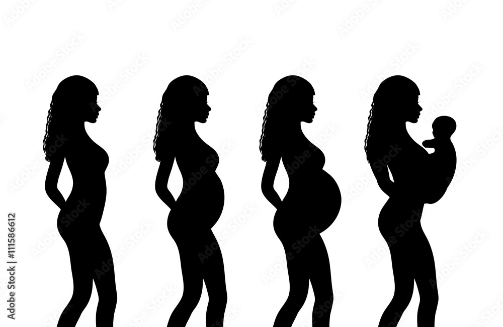 pregnant woman silhouette, stages of pregnancy Stock Vector | Adobe Stock