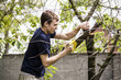 © mikitiger - Teen cut down trees in the garden