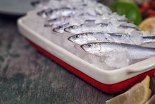 Fresh Sardines On Ice 